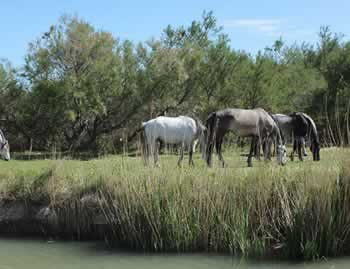 Barging in France