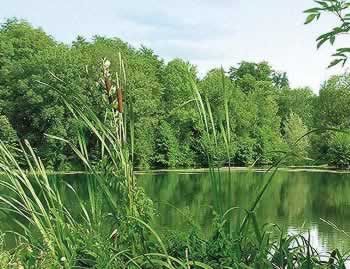 Barging in France